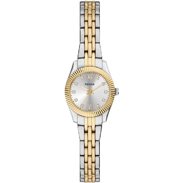 ZEGAREK FOSSIL SCARLETTE MINI
