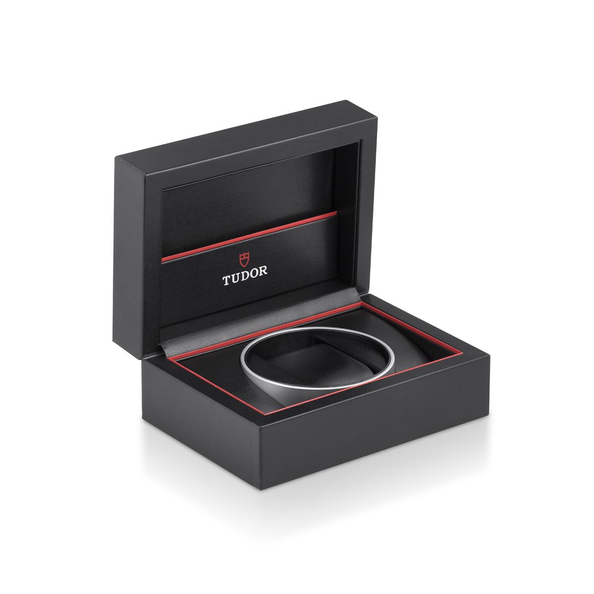 TUDOR BLACK BAY S&G