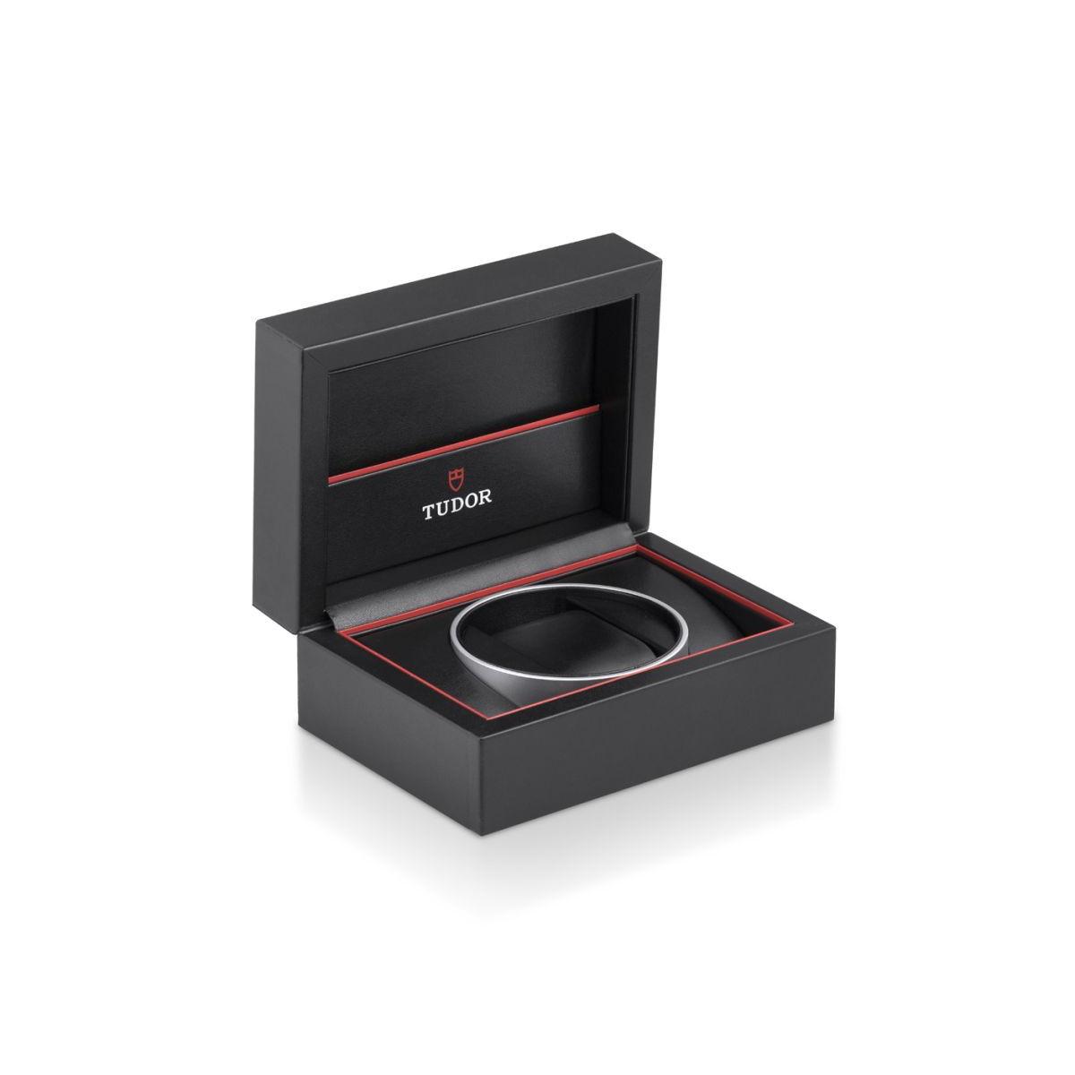 TUDOR BLACK BAY