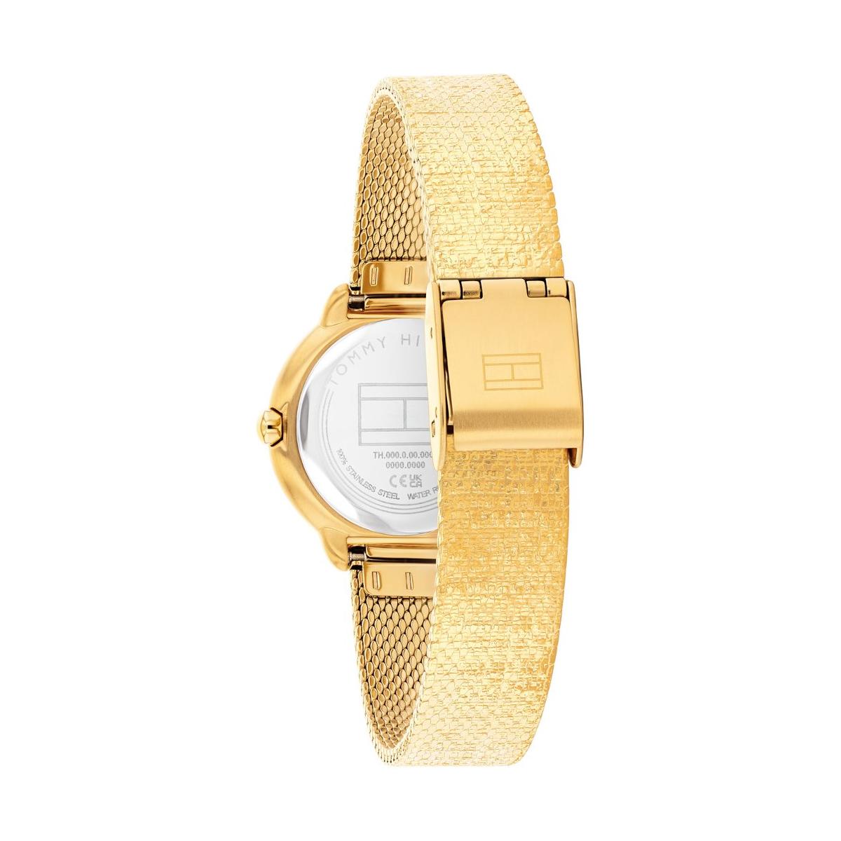 ZEGAREK TOMMY HILFIGER DEMI