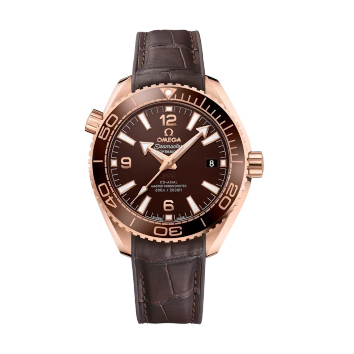 ZEGAREK OMEGA SEAMASTER Planet Ocean 600M