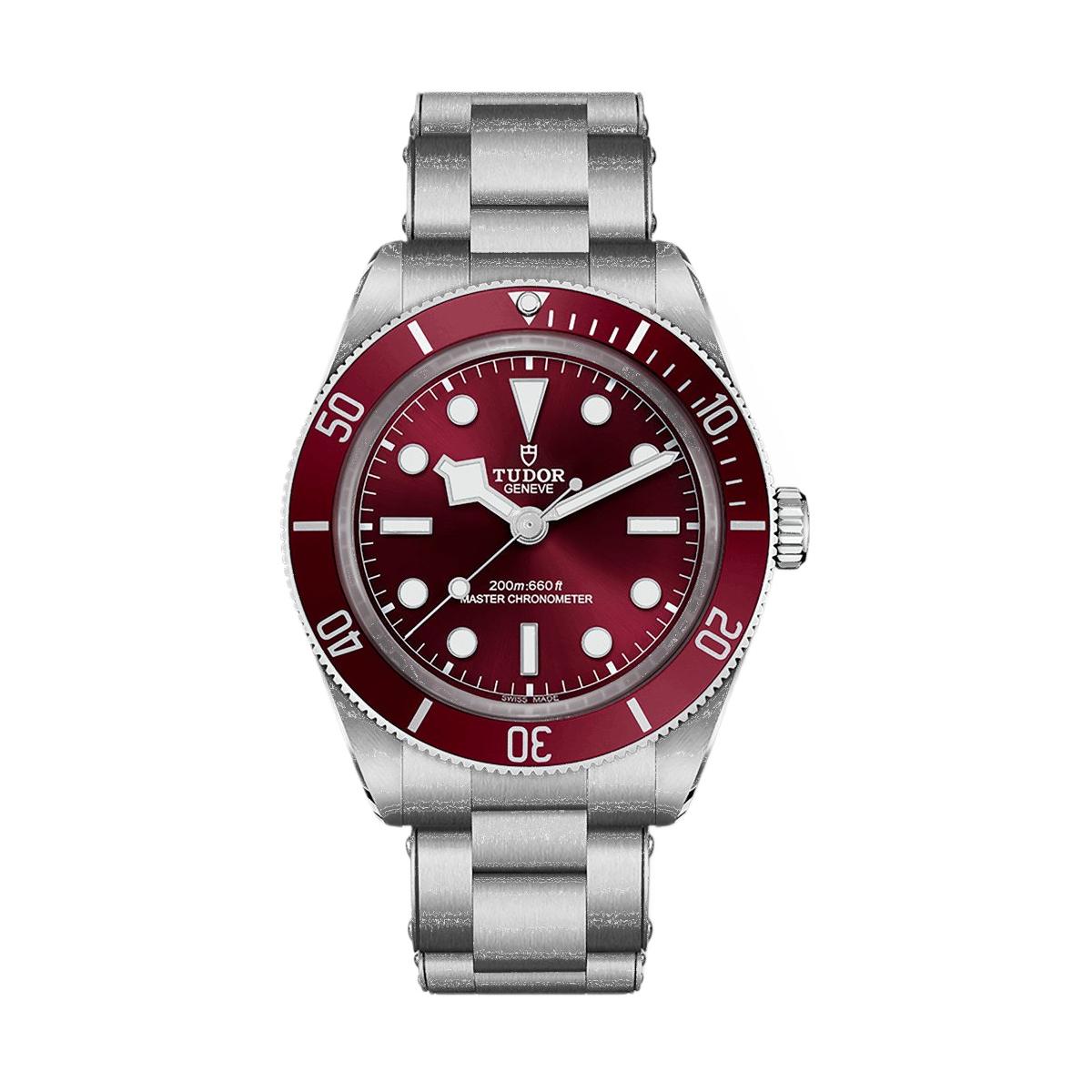 TUDOR BLACK BAY 58