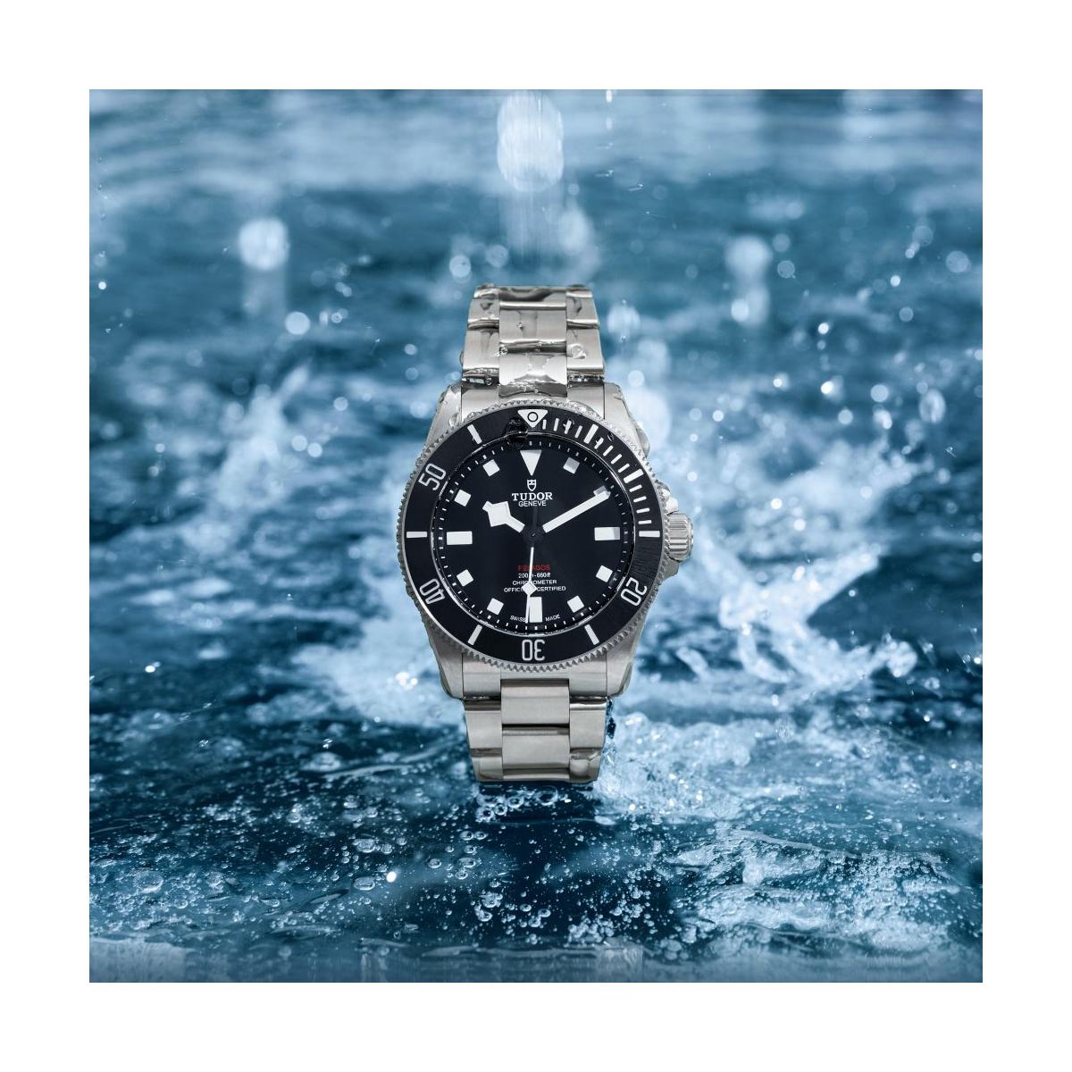 TUDOR PELAGOS 39