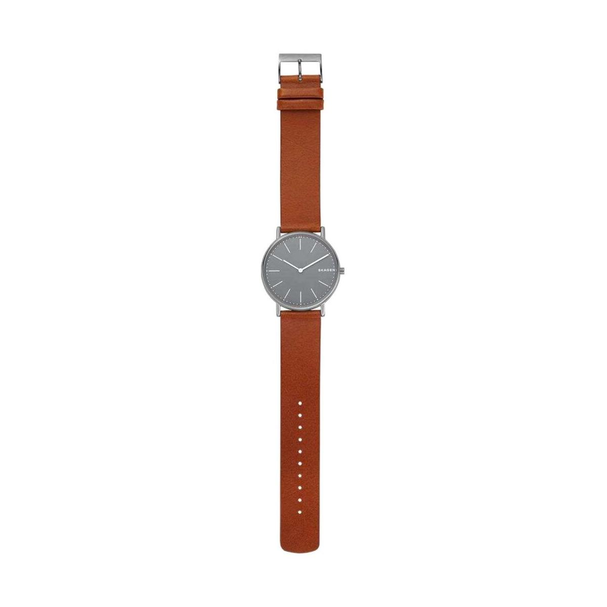 ZEGAREK SKAGEN SIGNATUR TITANIUM