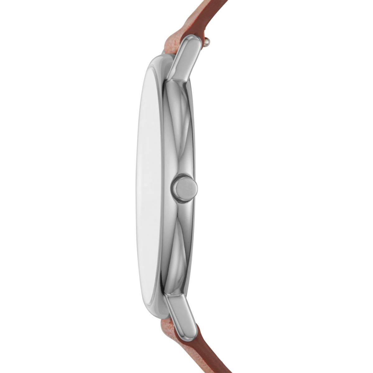 ZEGAREK SKAGEN SIGNATUR TITANIUM