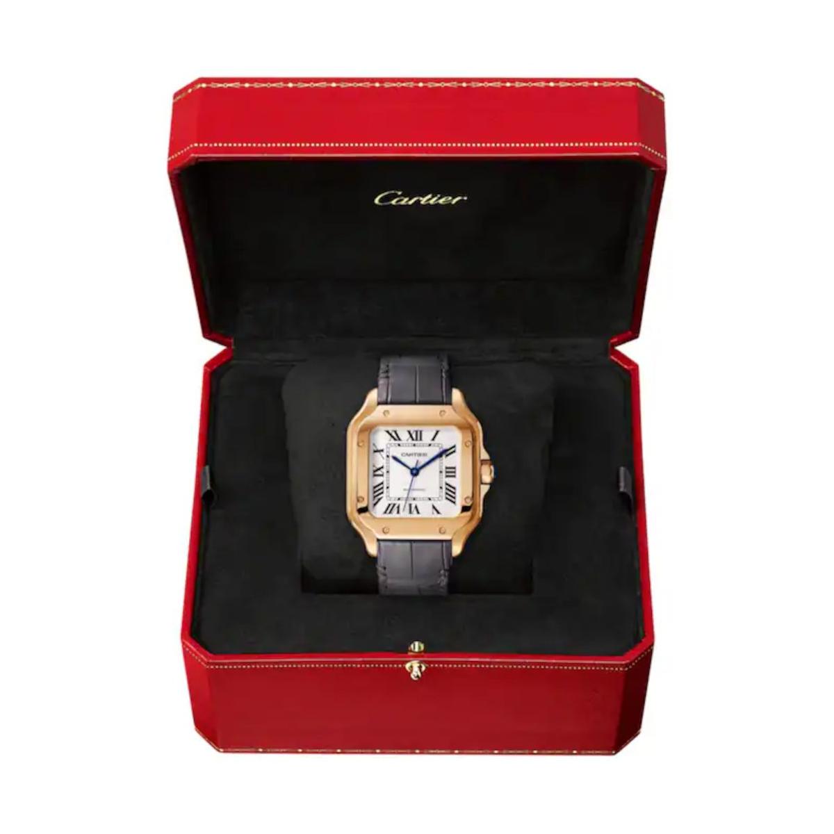 ZEGAREK CARTIER SANTOS DE CARTIER M