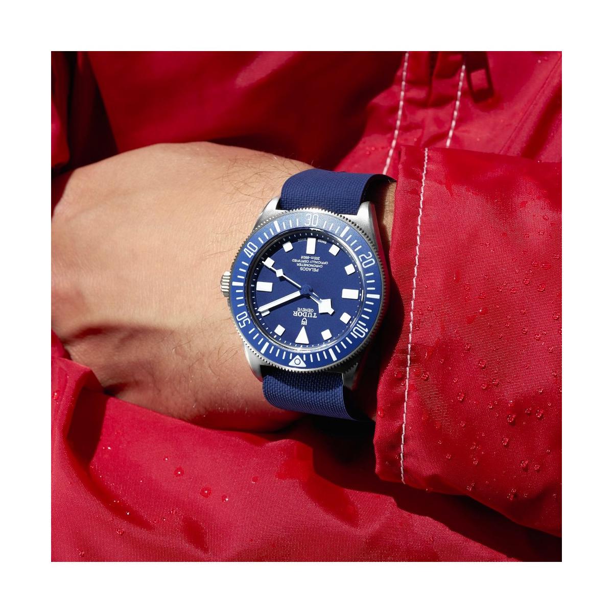 TUDOR PELAGOS FXD