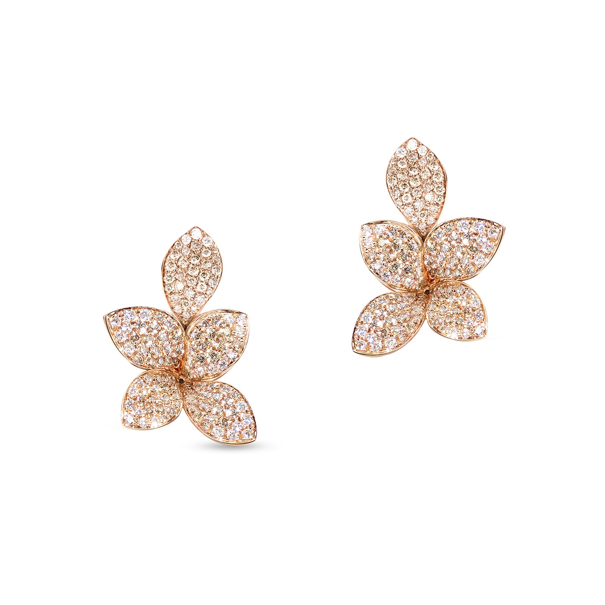 Kolczyki złote Pasquale Bruni