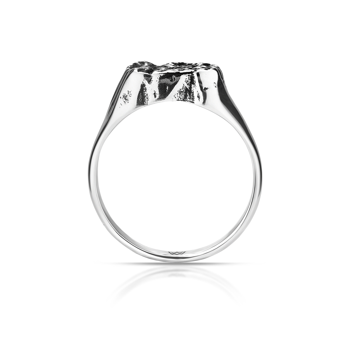 Pierścionek srebrny FREEDOM ELEMENTS