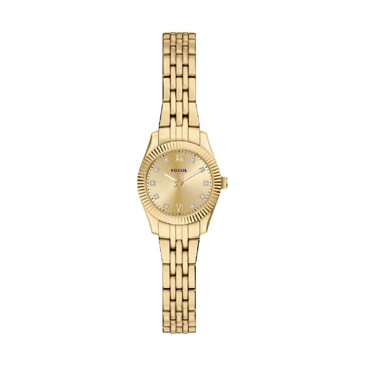 ZEGAREK FOSSIL SCARLETTE MINI