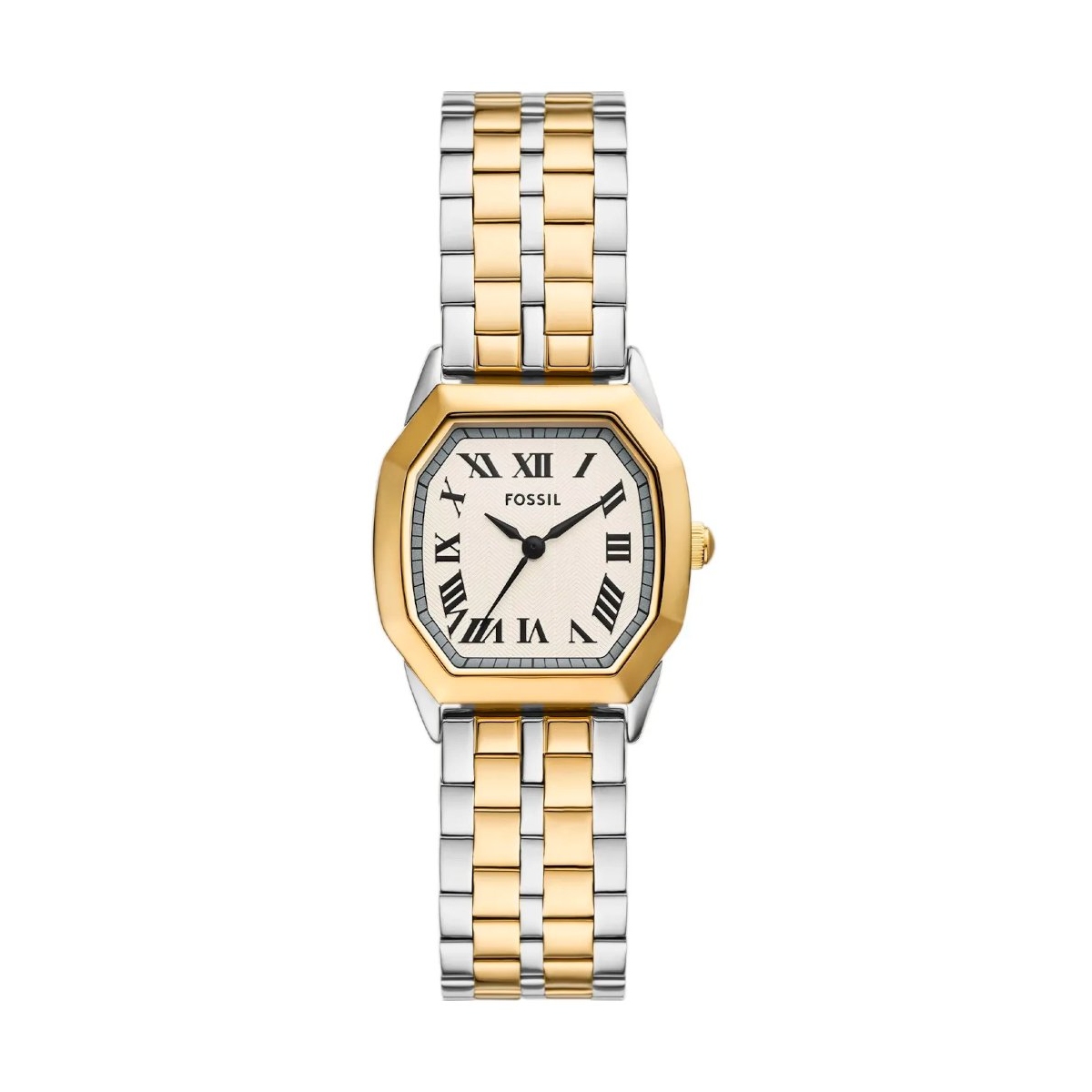 ZEGAREK FOSSIL HARLOW