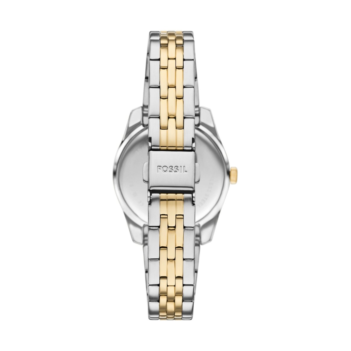 ZEGAREK FOSSIL SCARLETTE