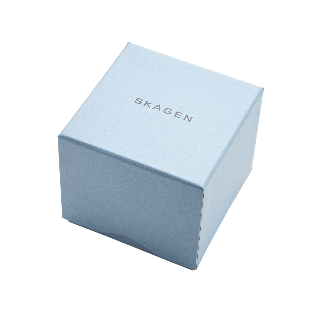 ZEGAREK SKAGEN Classic