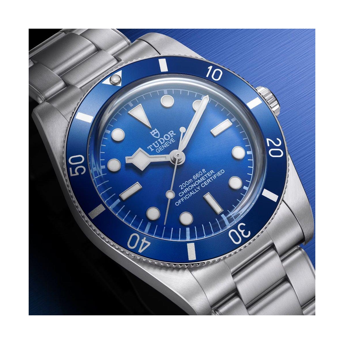 TUDOR BLACK BAY 54