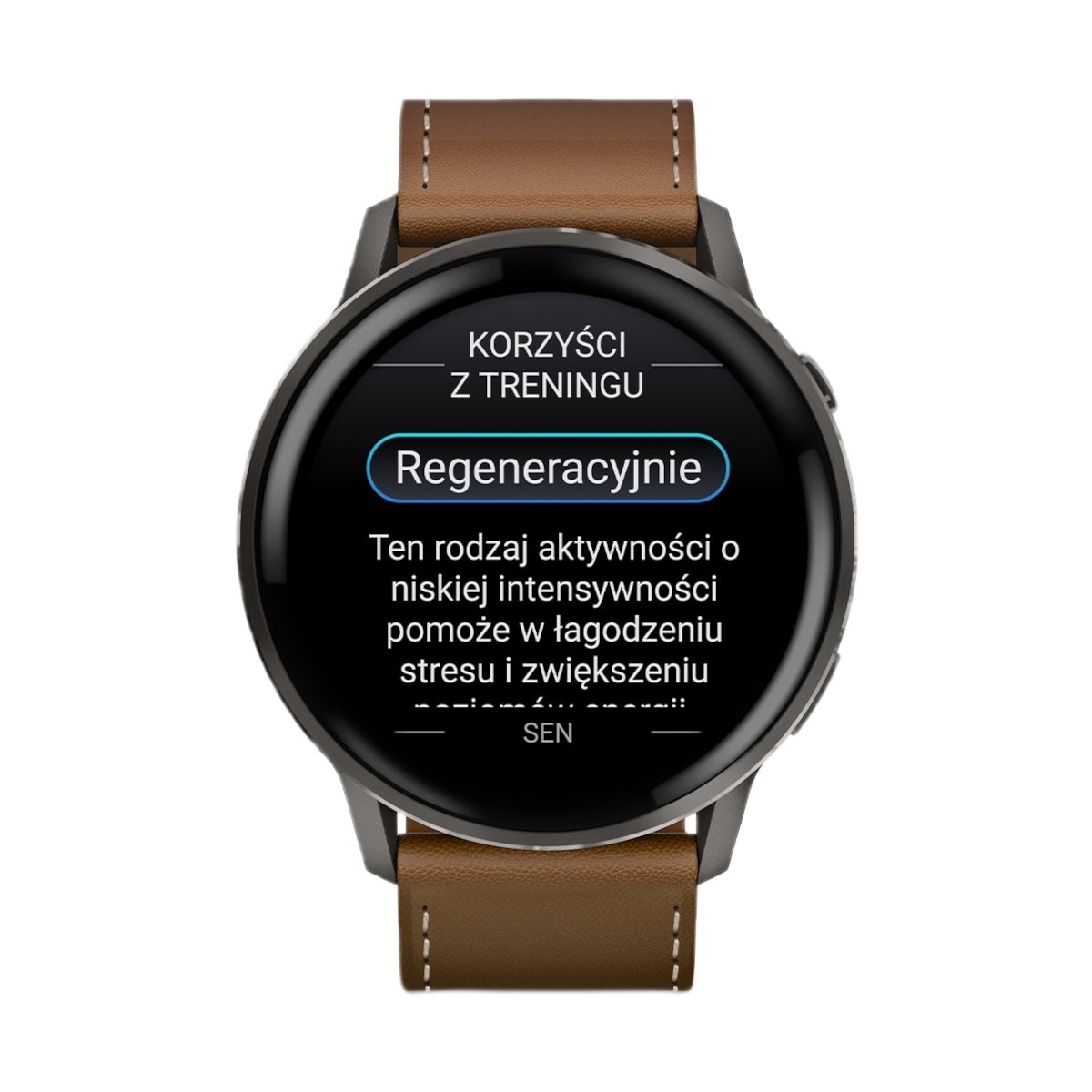 ZEGAREK GARMIN VENU 4