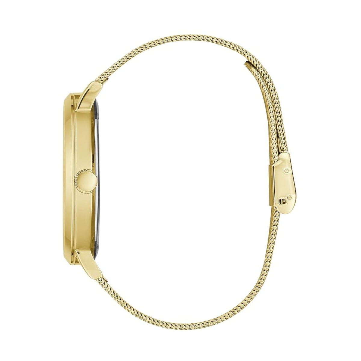 ZEGAREK GUESS SUPERNOVA