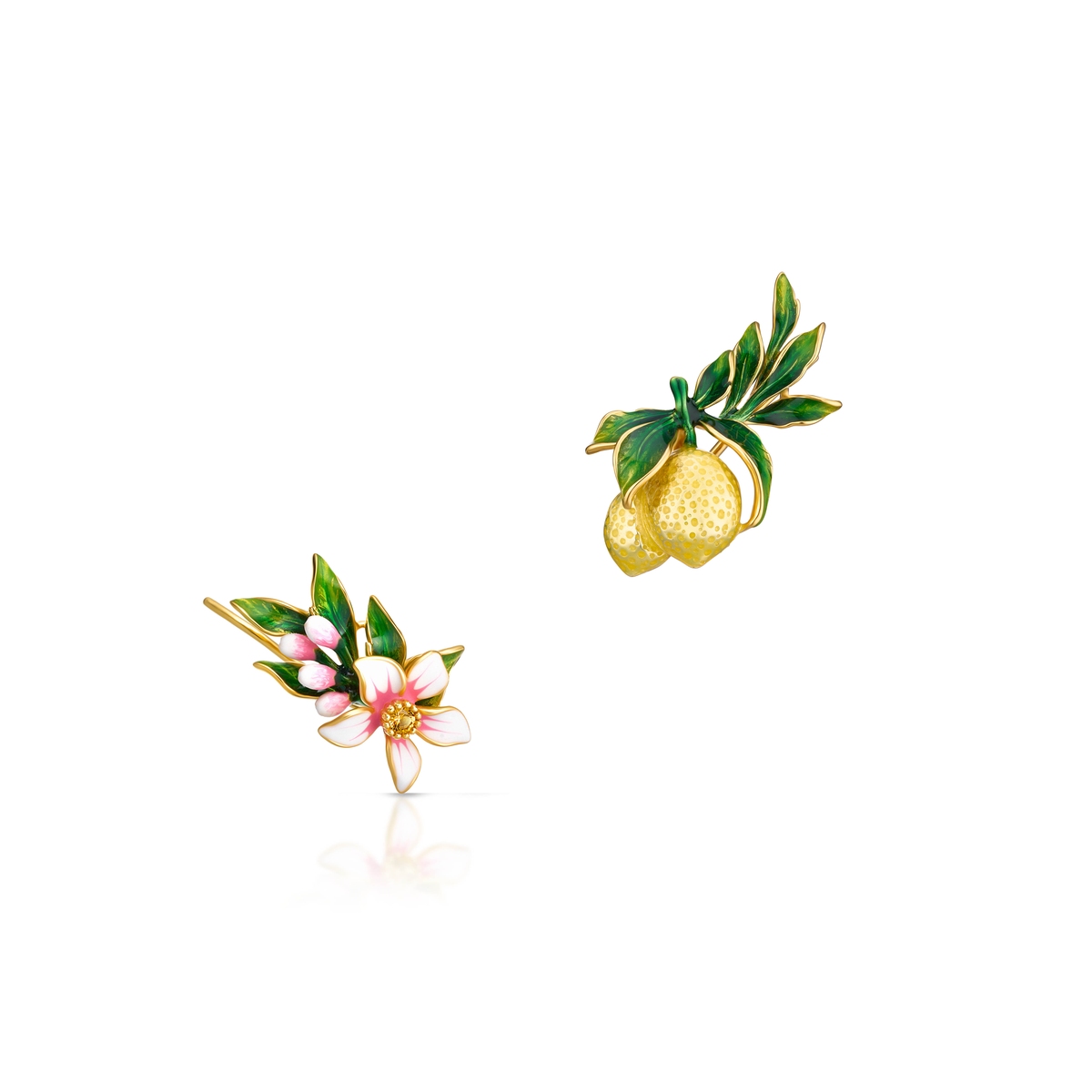 Nausznice srebrne Kwiaty Nocy Cytrusy