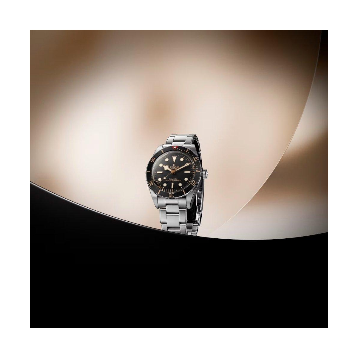 TUDOR BLACK BAY 58