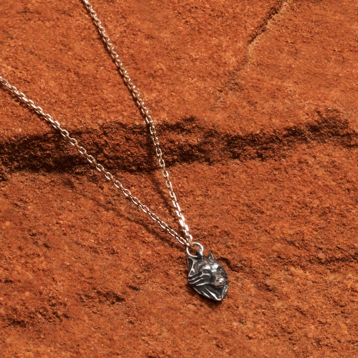 Naszyjnik srebrny Freedom