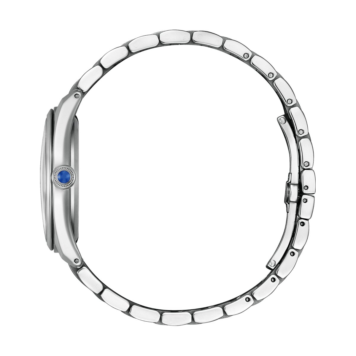 ZEGAREK CITIZEN L-LAKESIDE AT DAWN