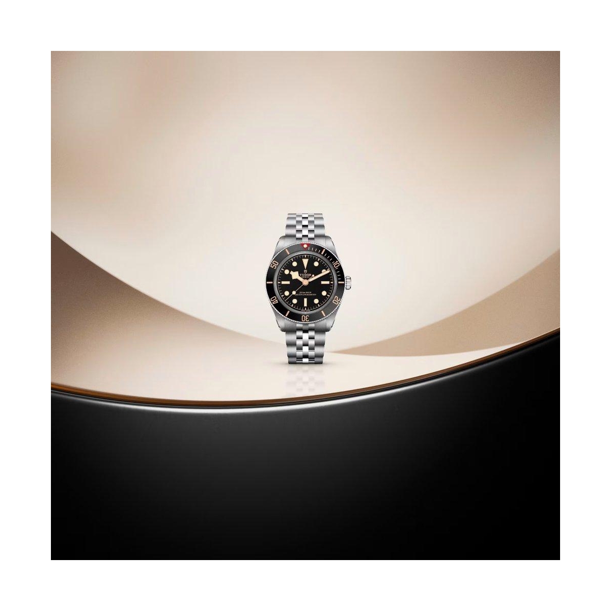 TUDOR BLACK BAY 58