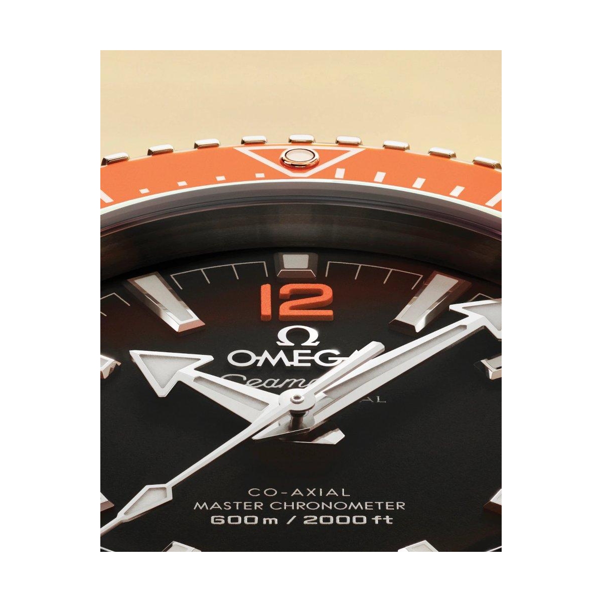 ZEGAREK OMEGA SEAMASTER PLANET OCEAN 600M