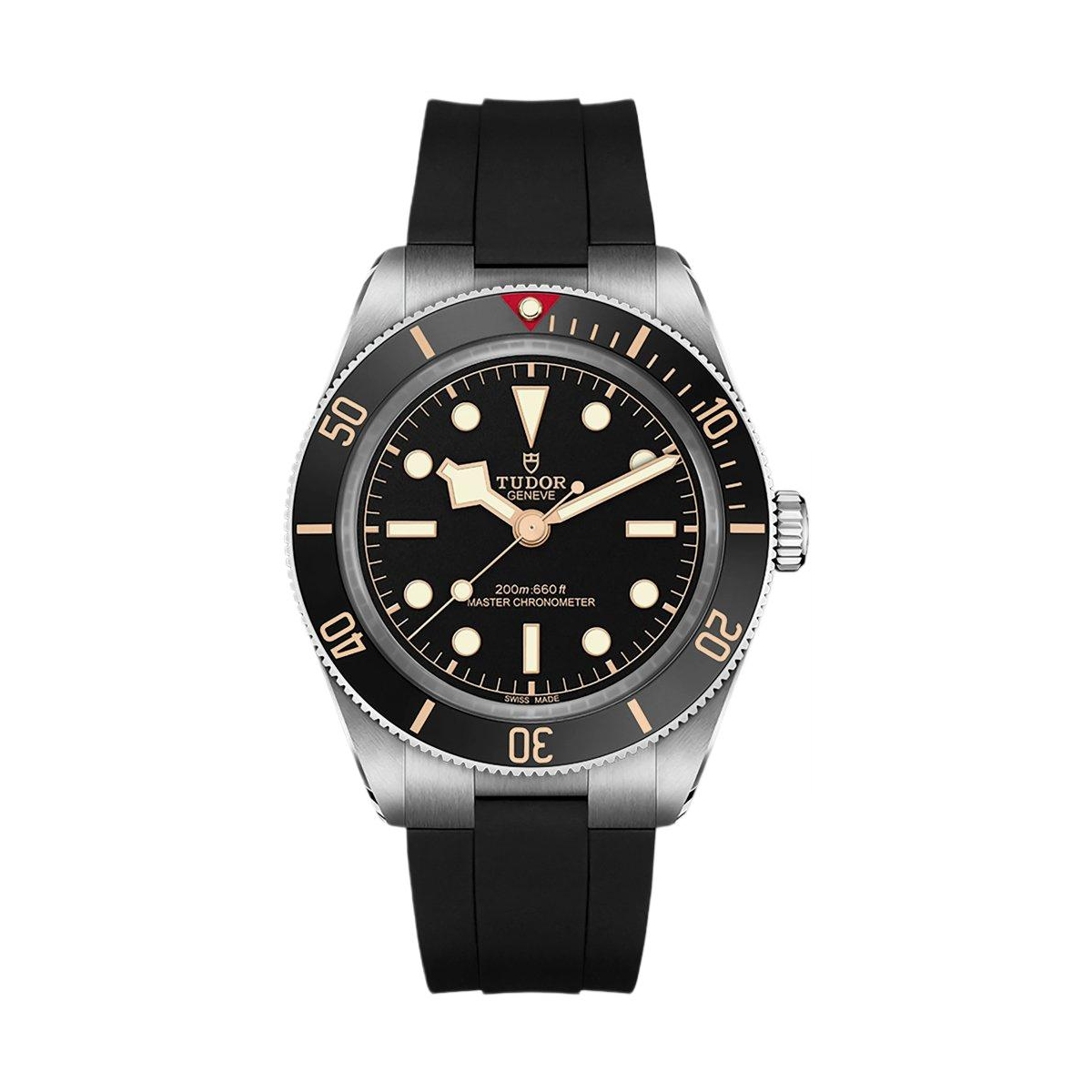 TUDOR BLACK BAY 58