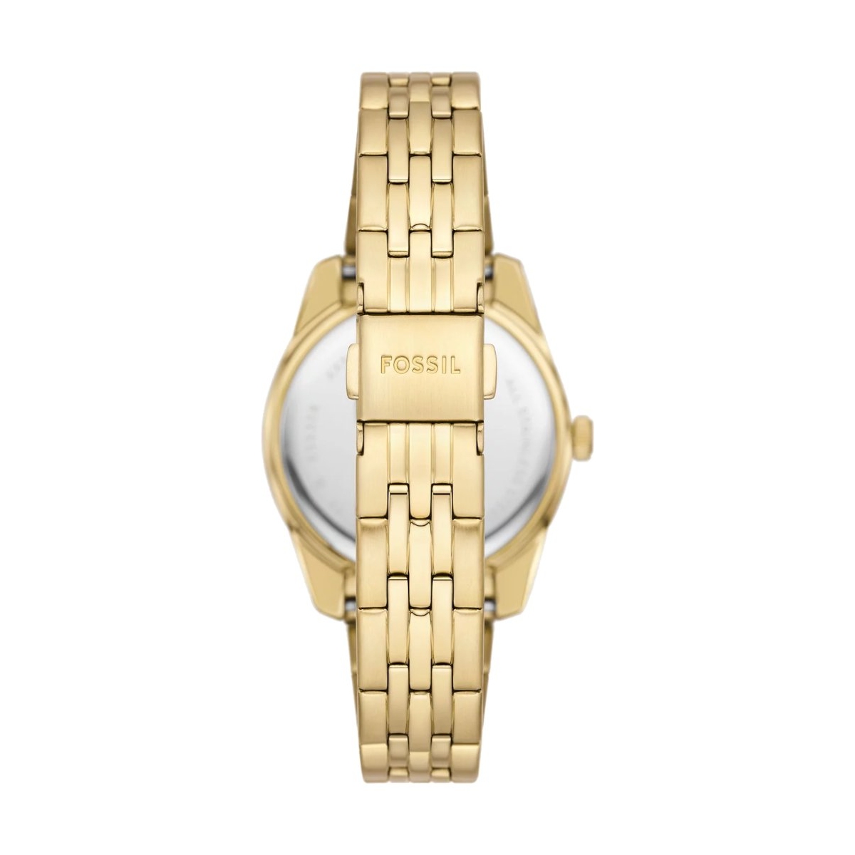 ZEGAREK FOSSIL SCARLETTE