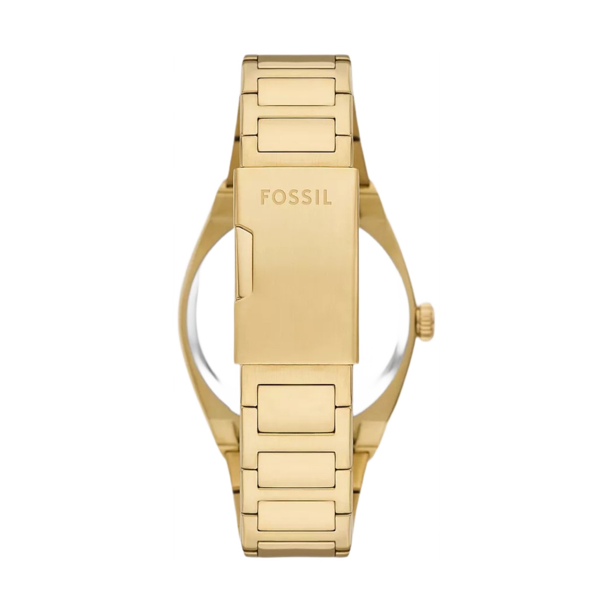 ZEGAREK FOSSIL EVERETT