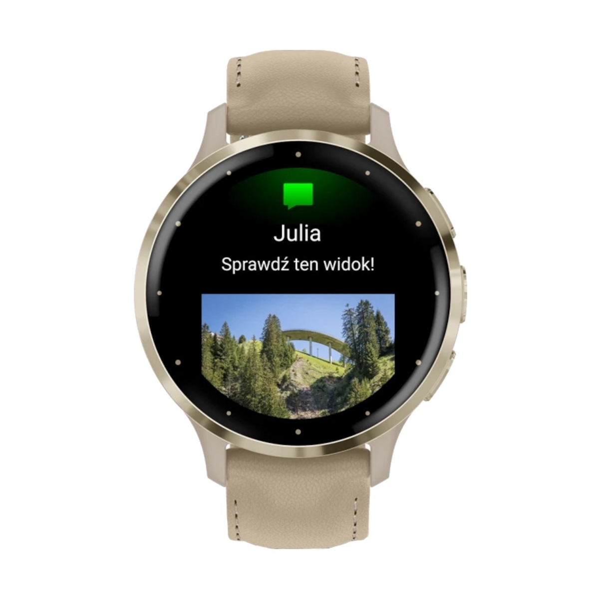 ZEGAREK GARMIN VENU 3S