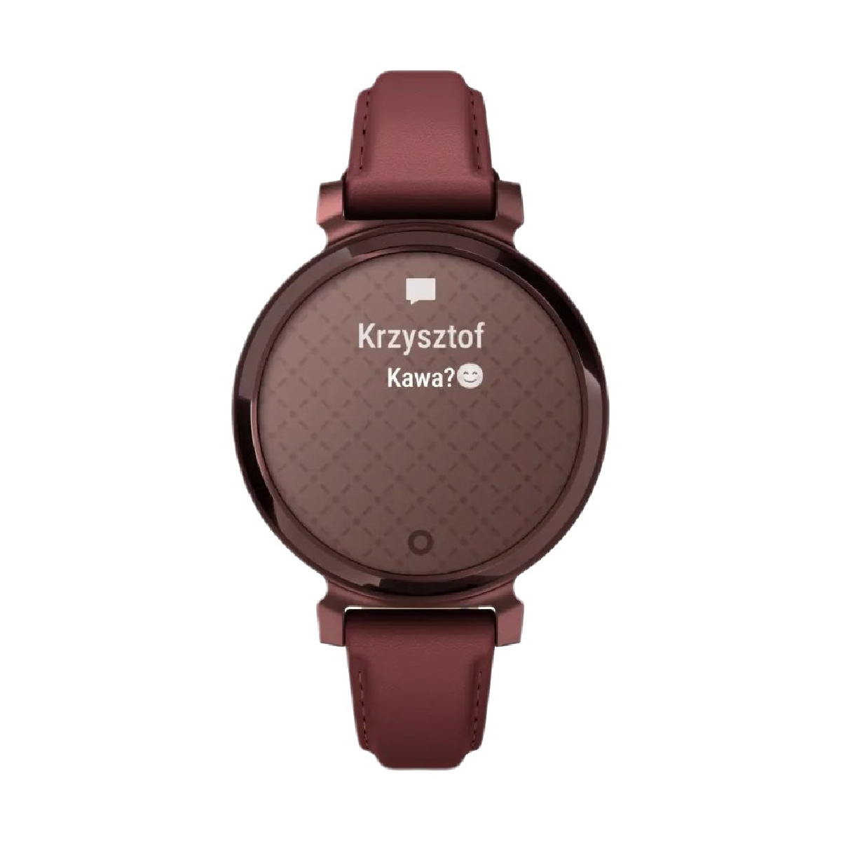 ZEGAREK GARMIN LILY 2 CLASSIC