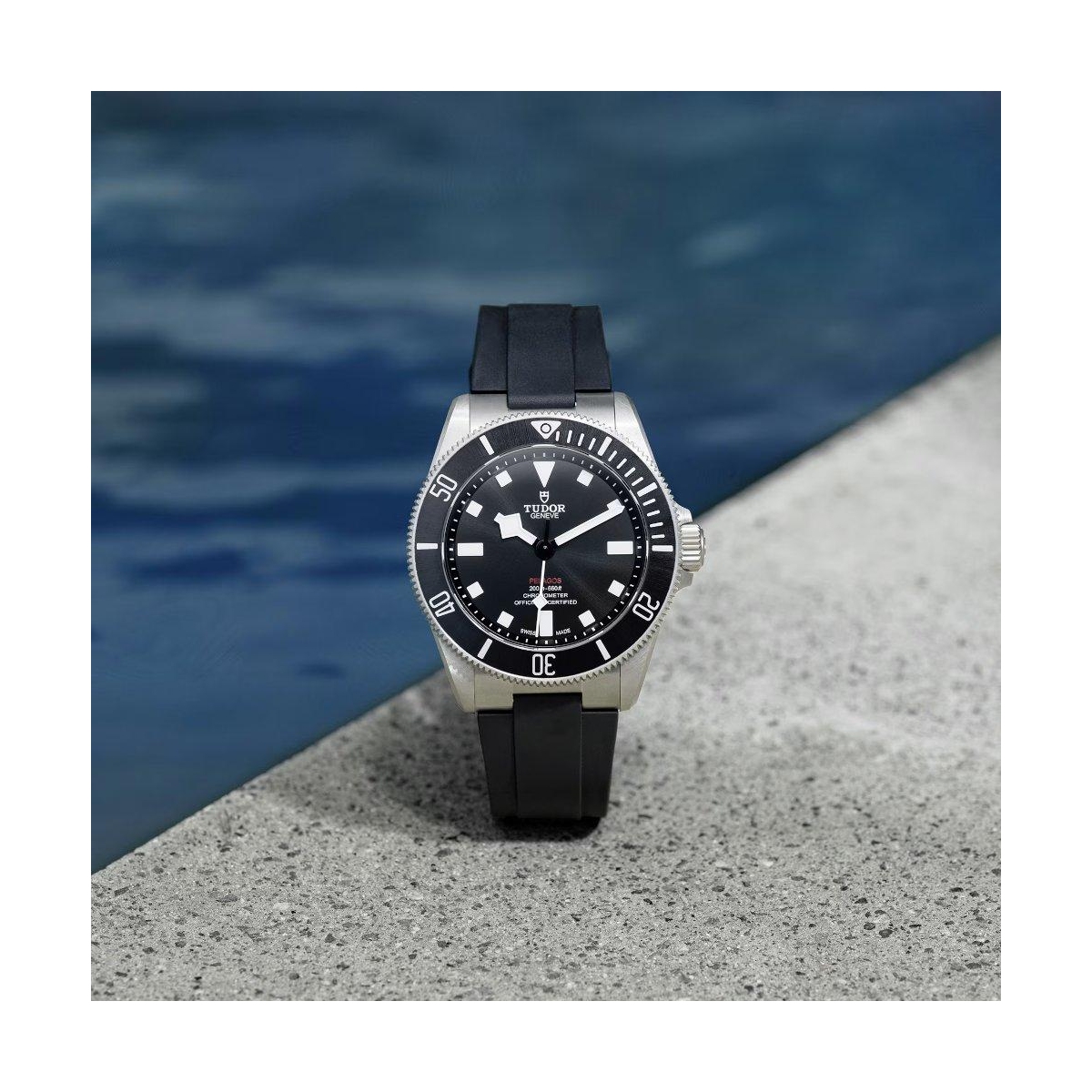 TUDOR PELAGOS 39