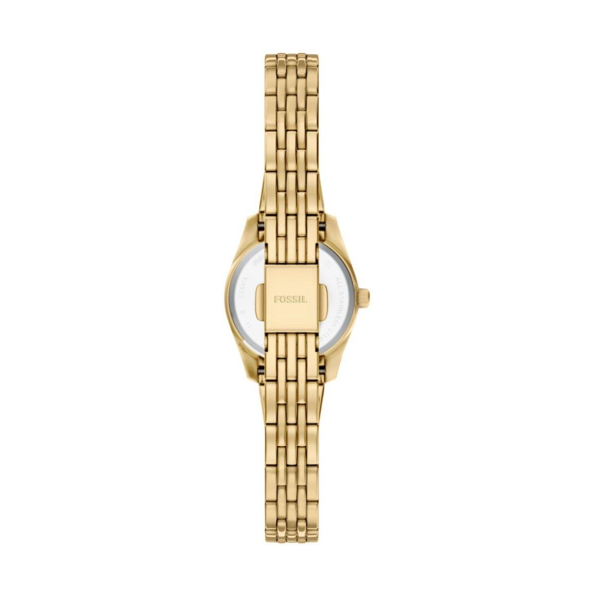 ZEGAREK FOSSIL SCARLETTE MINI