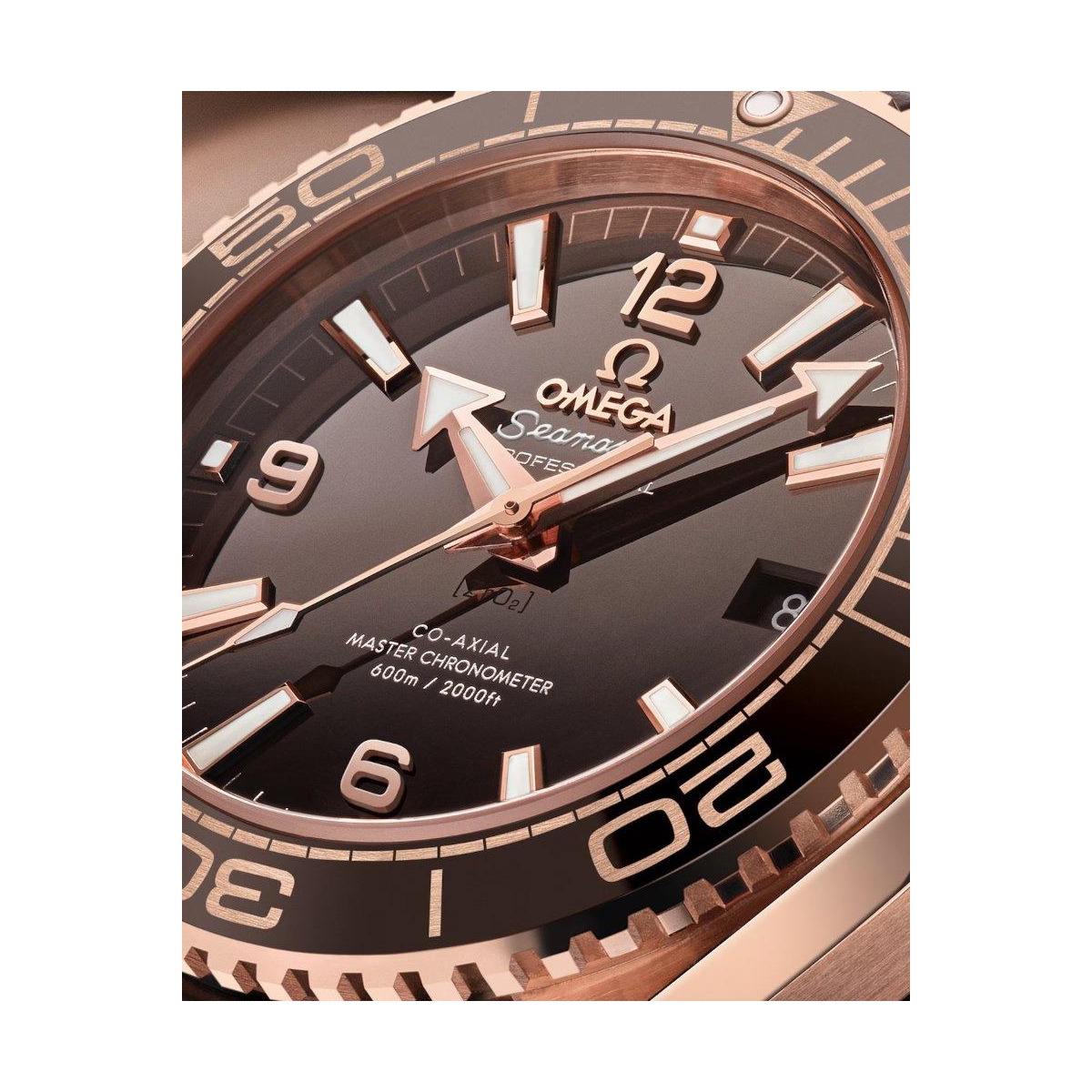 ZEGAREK OMEGA SEAMASTER PLANET OCEAN 600M