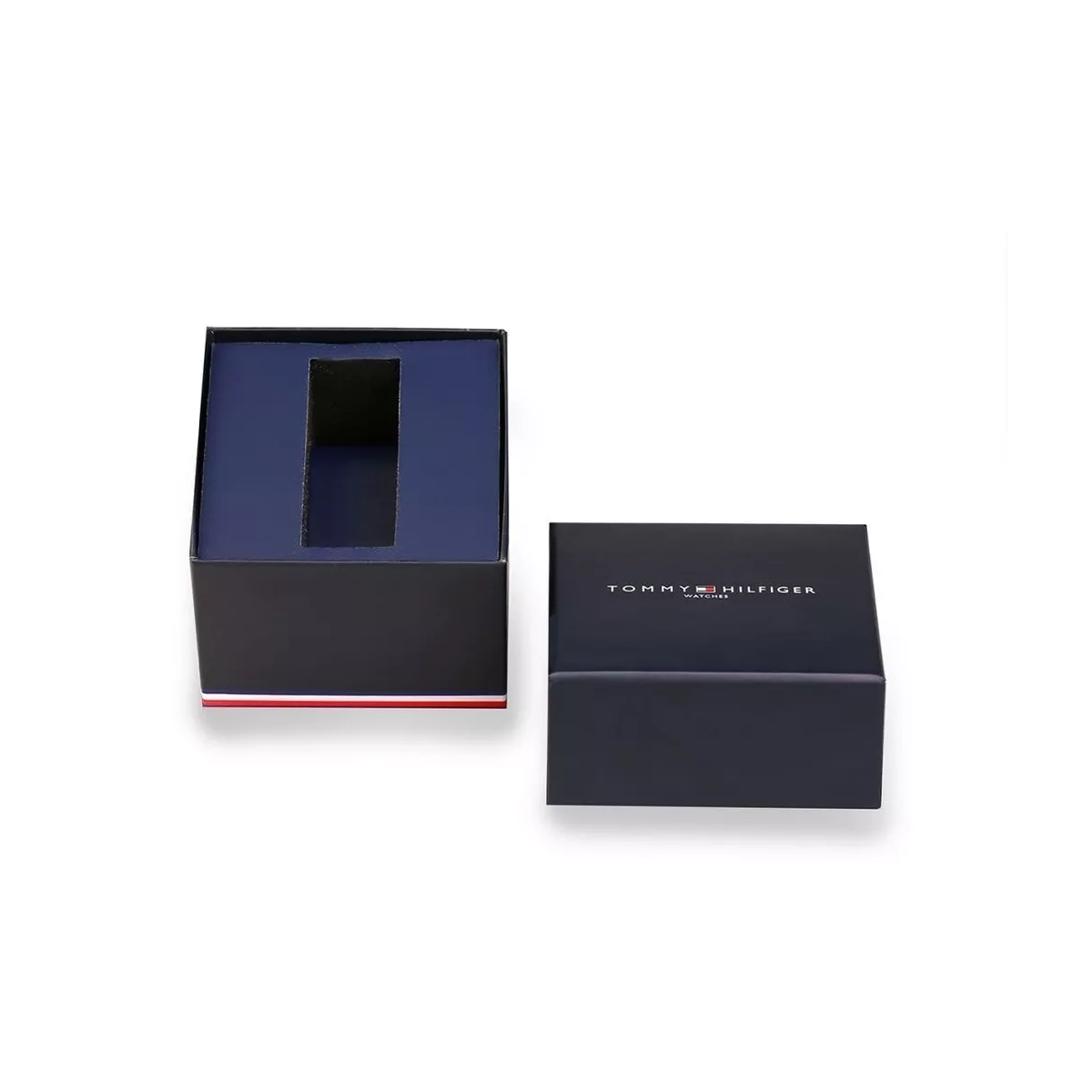 ZEGAREK TOMMY HILFIGER ROCKY