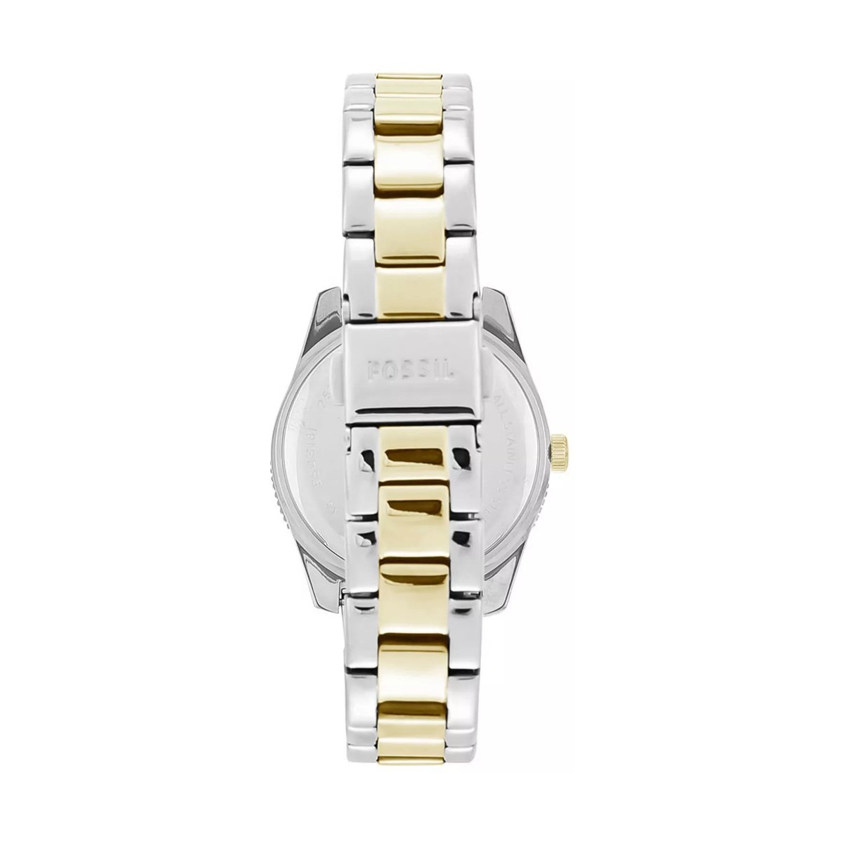 ZEGAREK FOSSIL SCARLETTE