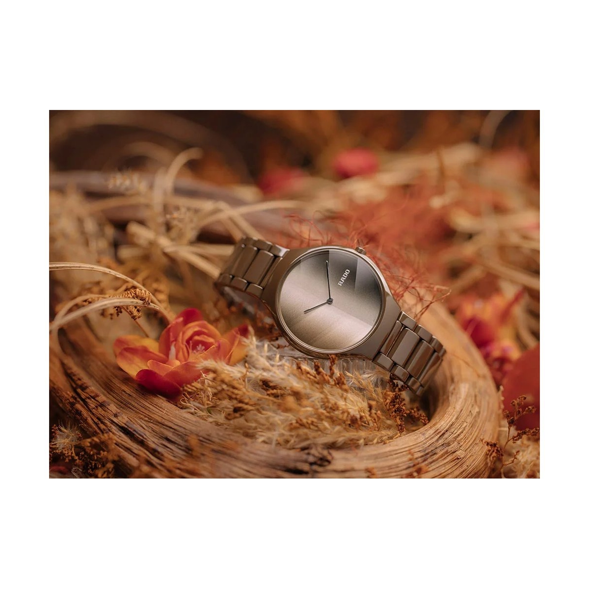 ZEGAREK RADO True Thinline x Great Gardens of the World