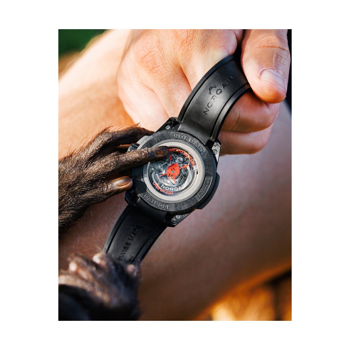 ZEGAREK NORQAIN WILD ONE SKELETON HAKUNA MIPAKA LIMITED EDITION