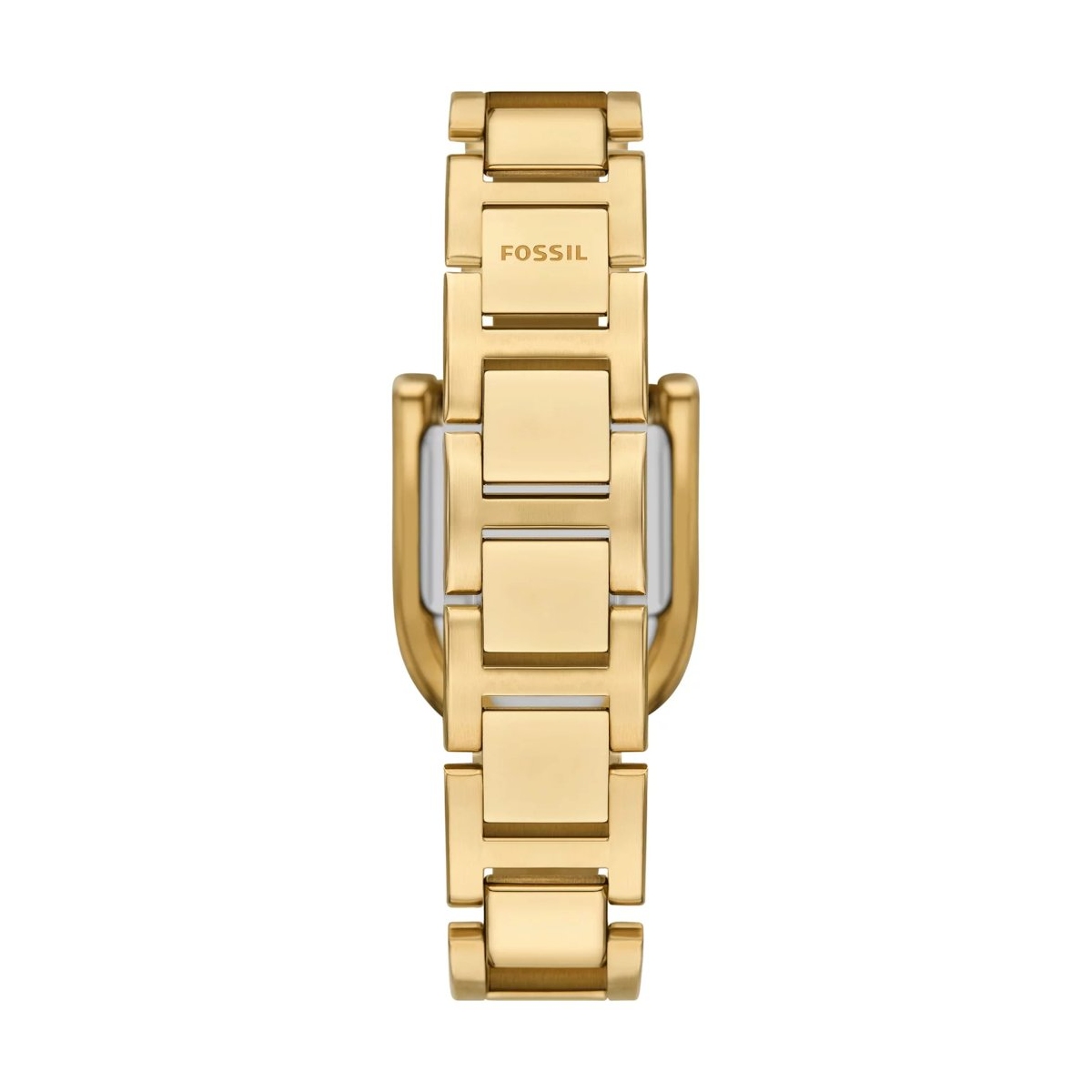 ZEGAREK FOSSIL HARWELL