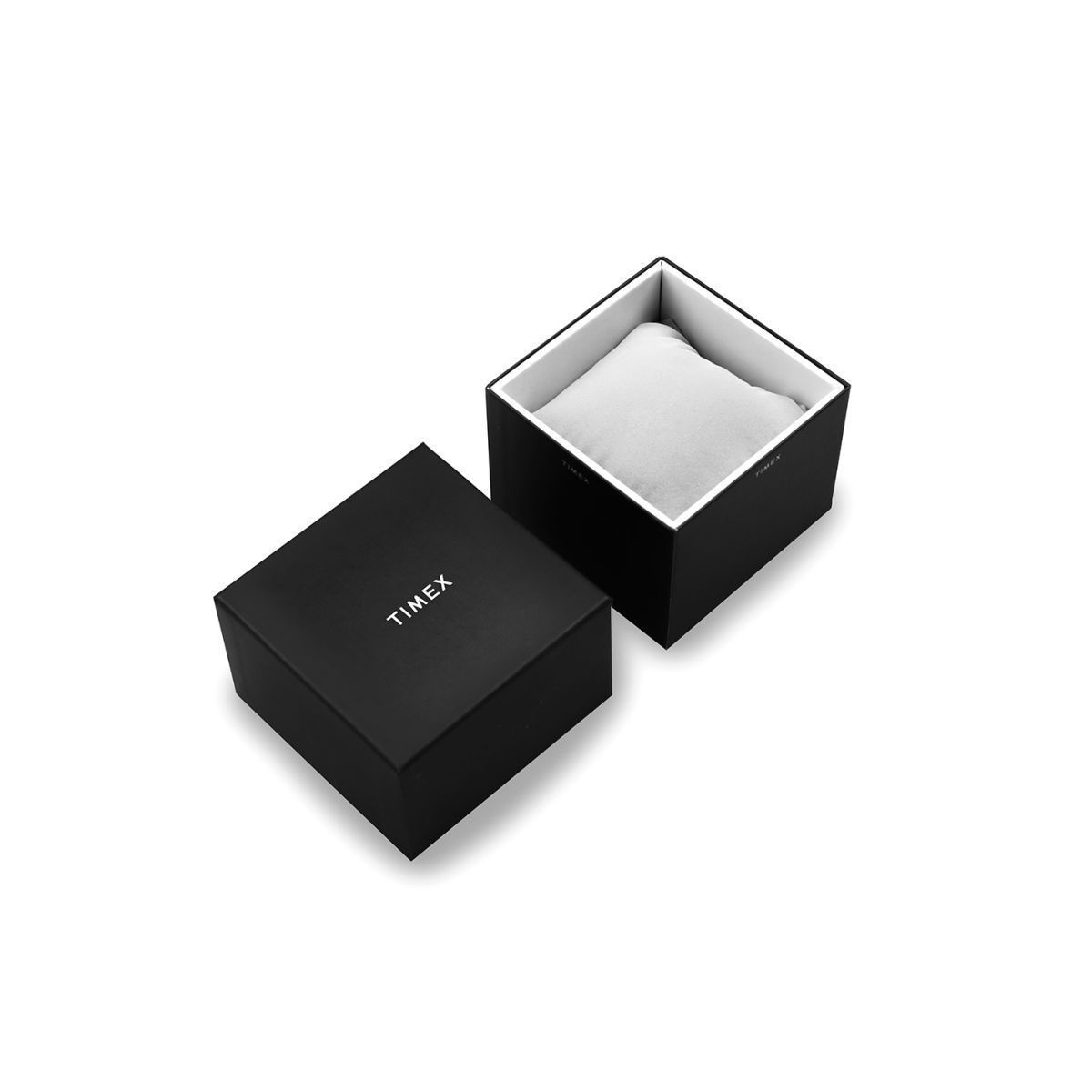 ZEGAREK TIMEX DEEPWATER TITANIUM