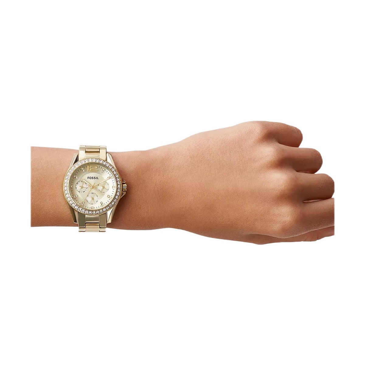 ZEGAREK FOSSIL RILEY