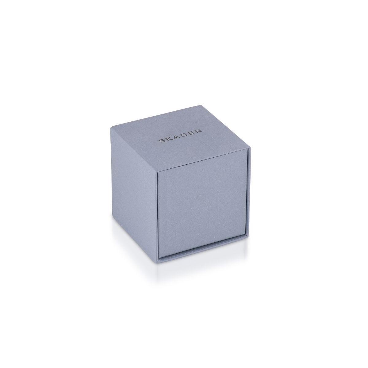 ZEGAREK SKAGEN AAREN KULOR