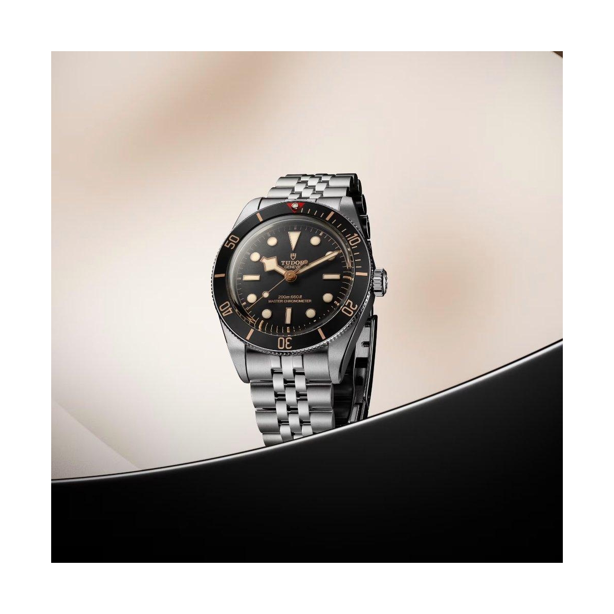 TUDOR BLACK BAY 58