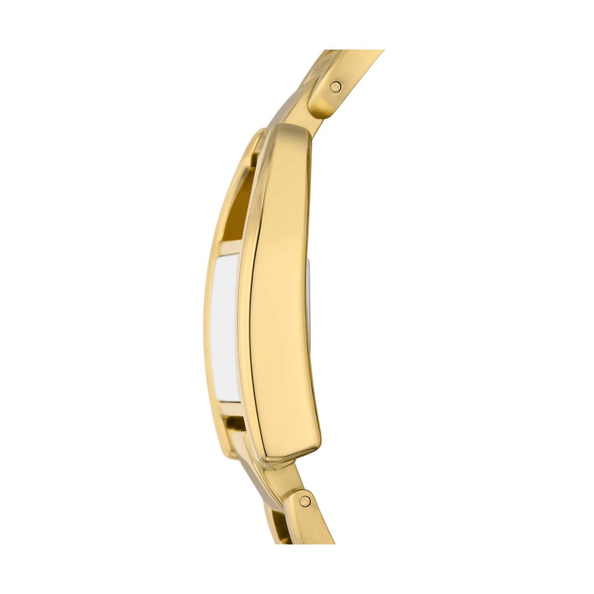 ZEGAREK FOSSIL HARWELL