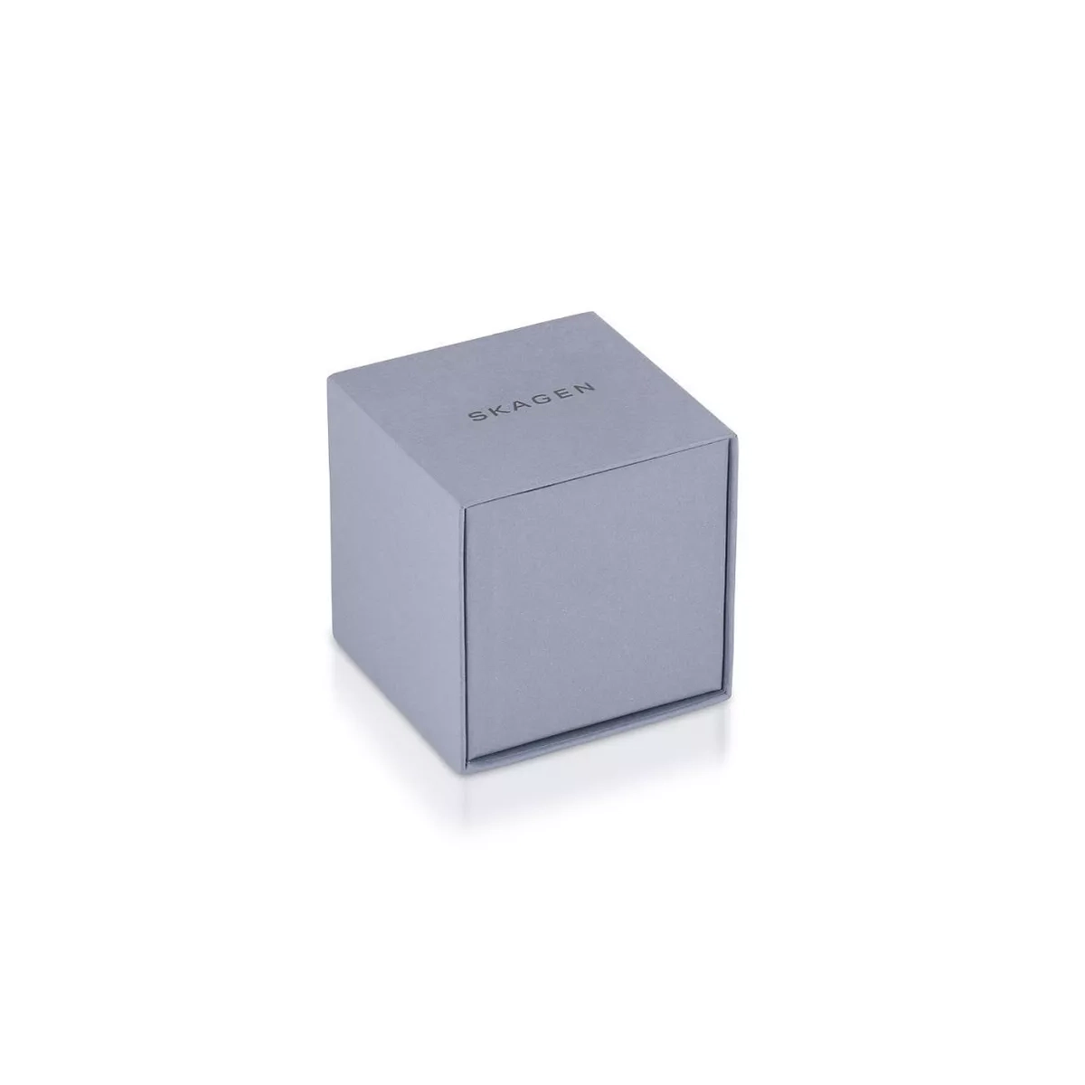 ZEGAREK SKAGEN GRENEN SOLAR