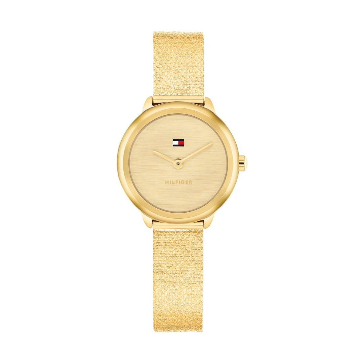 ZEGAREK TOMMY HILFIGER DEMI