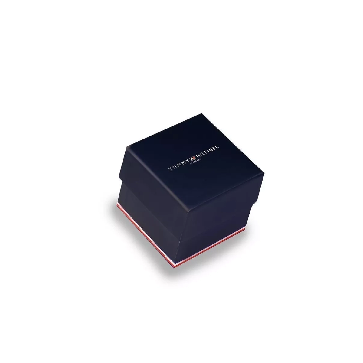 ZEGAREK TOMMY HILFIGER ROCKY