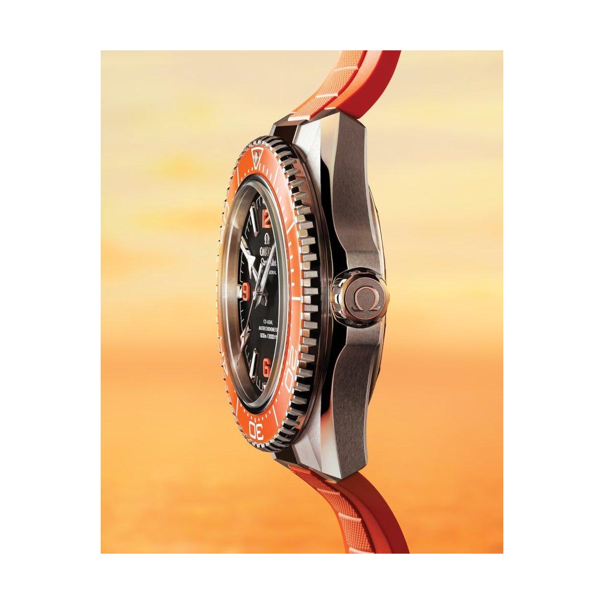 ZEGAREK OMEGA SEAMASTER PLANET OCEAN 600M