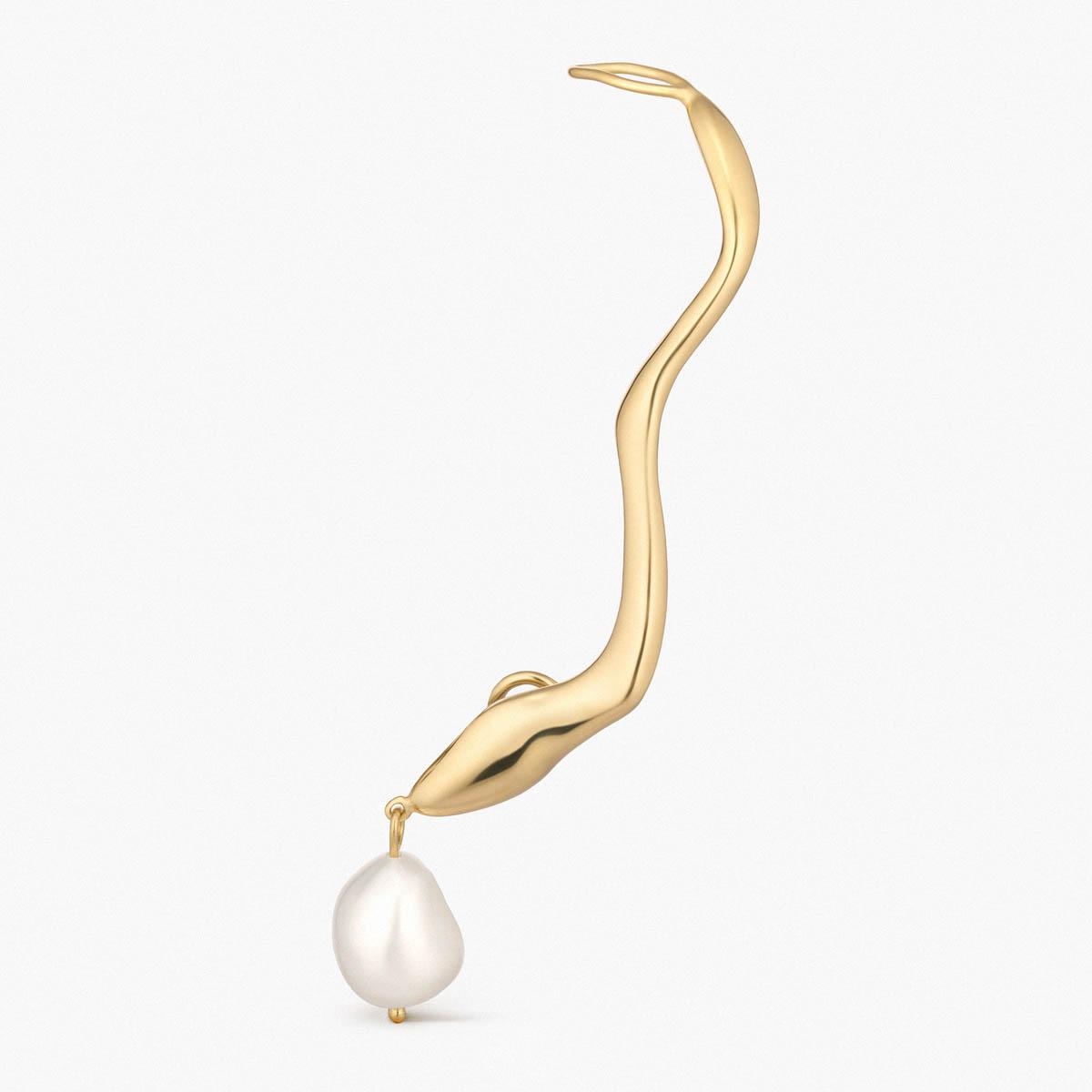 Monokolczyk srebrny Follow