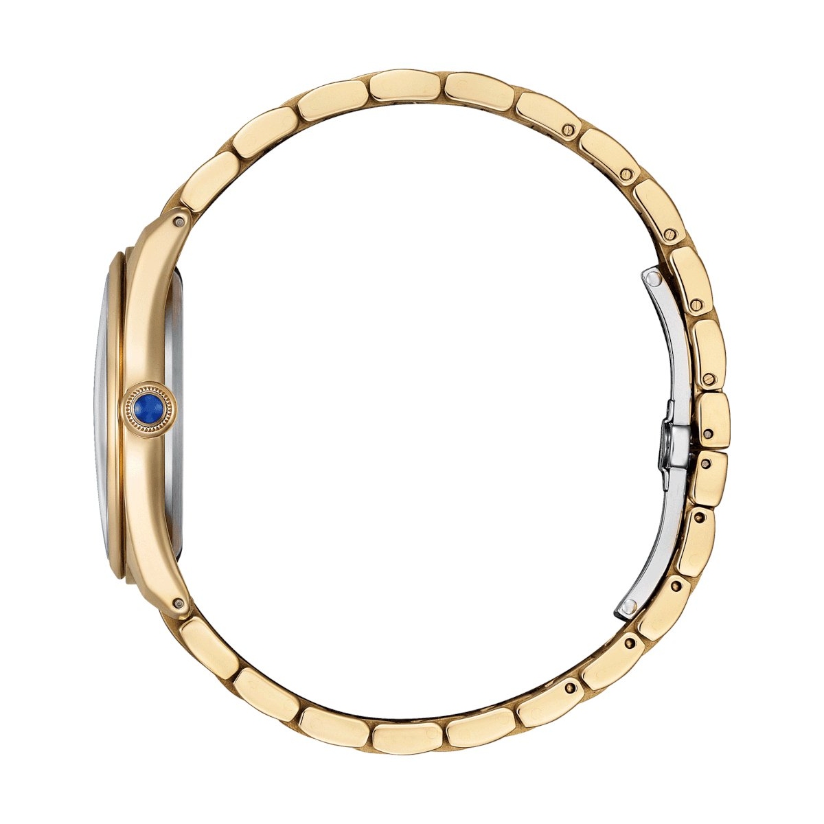 ZEGAREK CITIZEN L-LAKESIDE AT DAWN